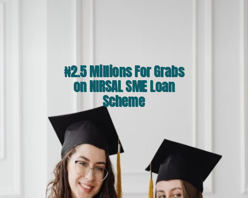 ₦2.5 Millions For Grabs on NIRSAL SME Loan Scheme