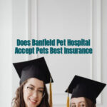 Does Banfield Pet Hospital Accept Pets Best Insurance