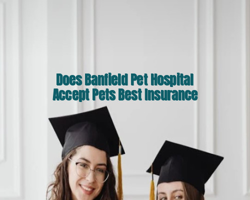 Does Banfield Pet Hospital Accept Pets Best Insurance