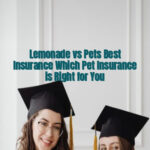 Lemonade vs Pets Best Insurance Which Pet Insurance is Right for You