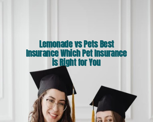 Lemonade vs Pets Best Insurance Which Pet Insurance is Right for You